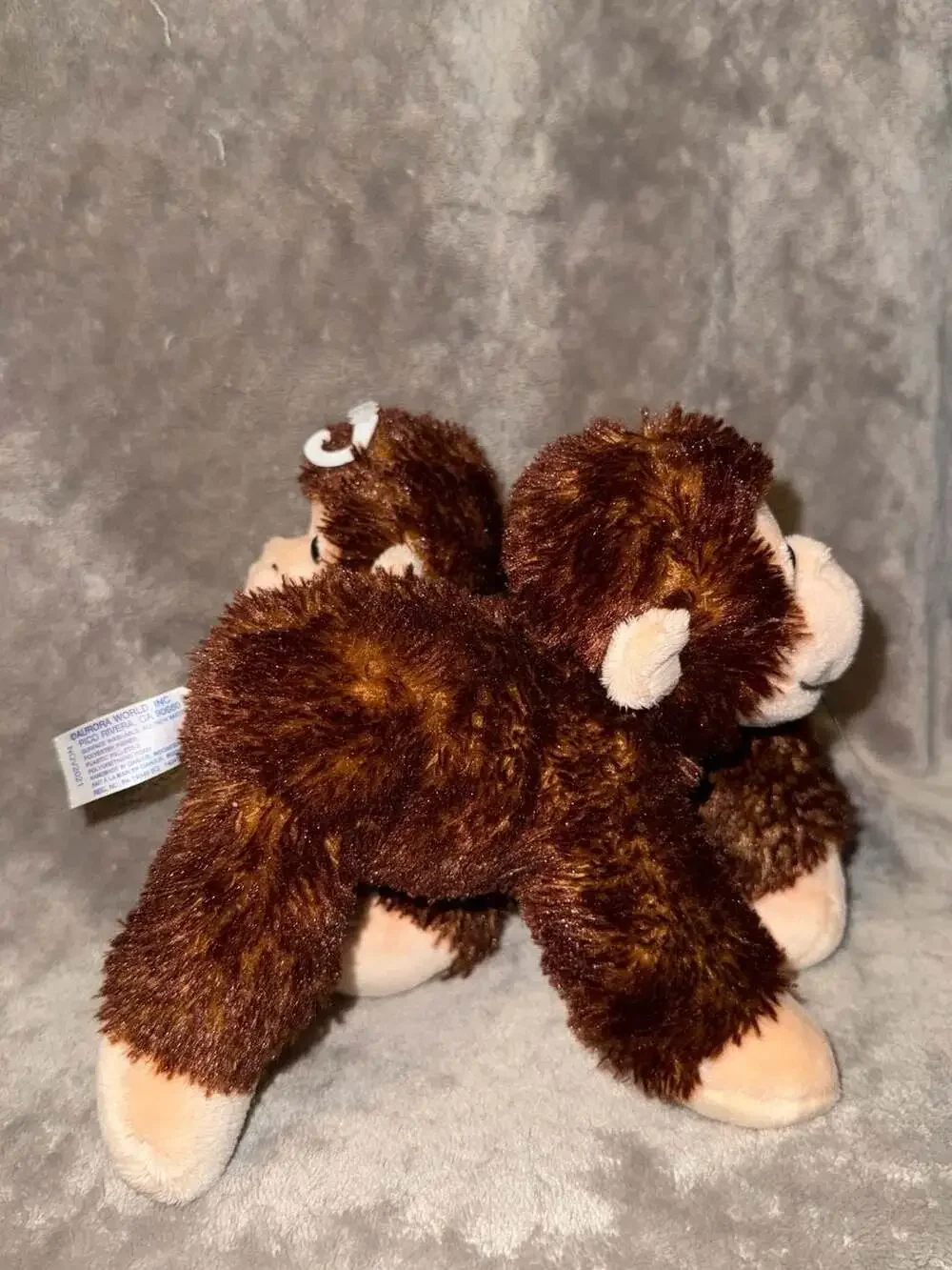 Aurora world brown